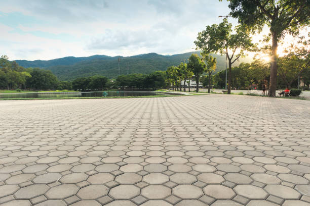 Best Driveway Pavers for Homes  in Boscobel, WI